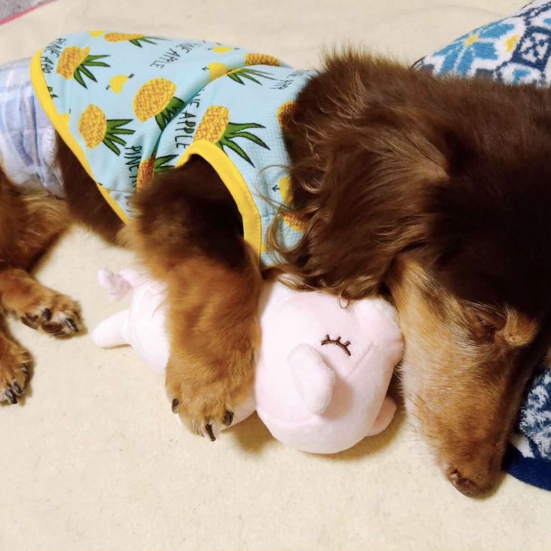 家で眠るアンリ
