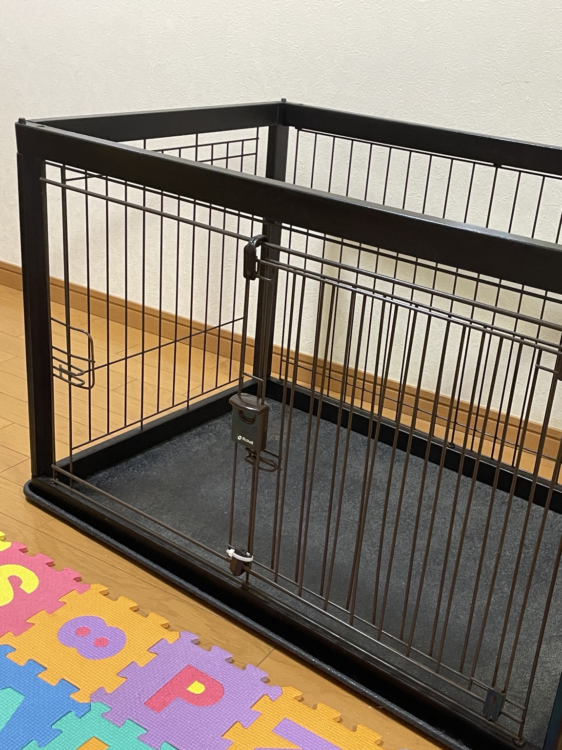 愛犬を留守番させる時に気をつけていること|一度だけヒヤッとしたMashの脱走事件