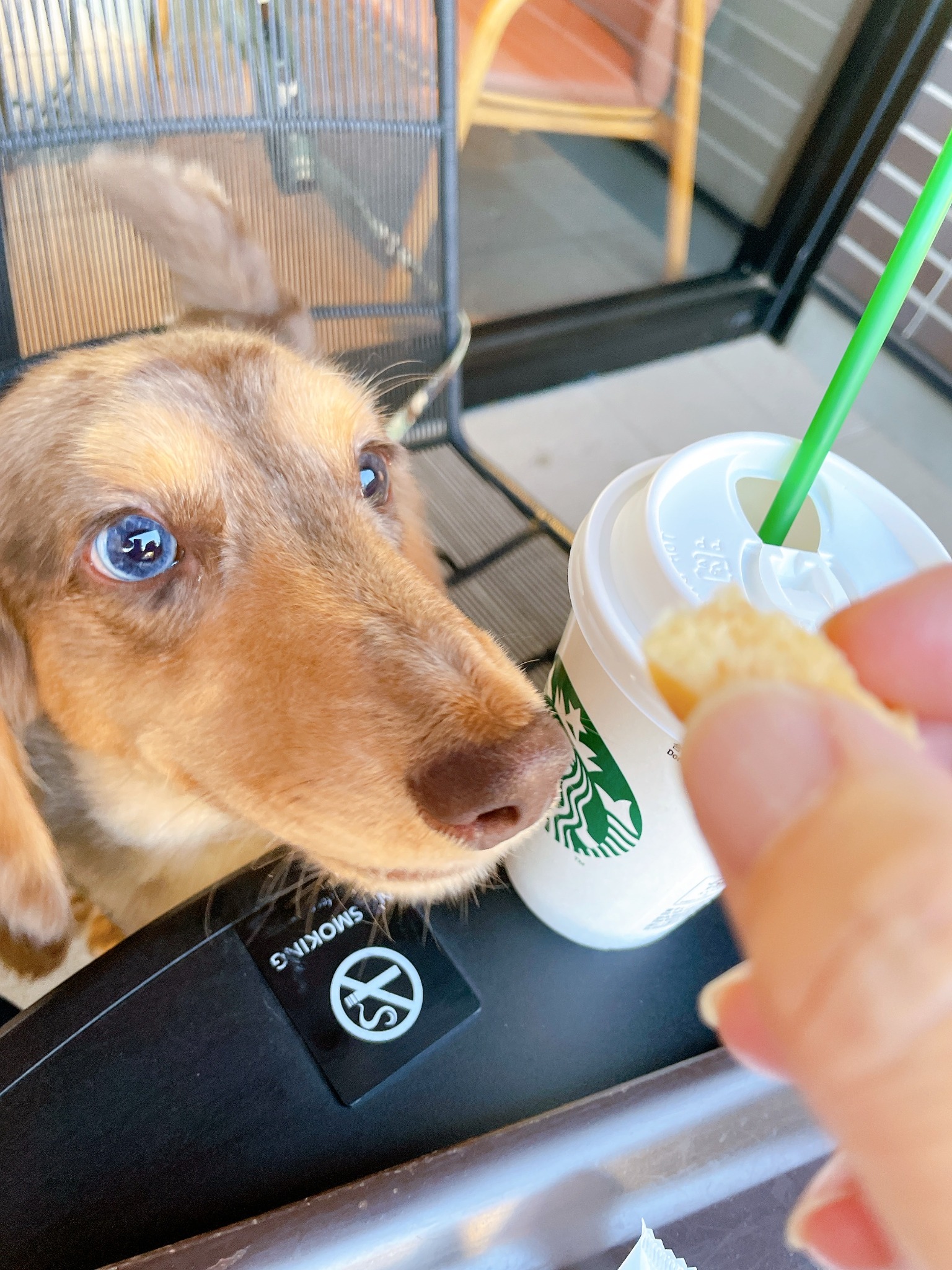 スタバのテラス席でバームクーヘンを見つめるMash